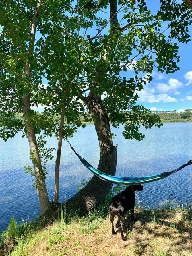 Lake House I Pioppi Nepi Ngoại thất bức ảnh
